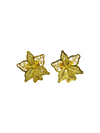 Aretes Dorados