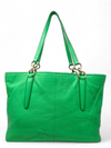 Bolso Verde