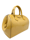 Bolso "Monogram Vernis Montana"