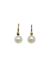Aretes "Gloss"
