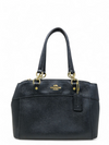 Bolso "Mini Brooke Carryall"