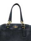 Bolso "Mini Brooke Carryall"