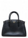 Bolso "Mini Sage Carryall"