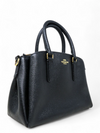 Bolso "Mini Sage Carryall"