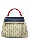Bolso Multicolor