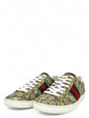 Tenis "Ace Sneakers"