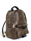 Morral "Monogram Mini Palm Springs"