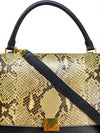 Bolso "Trapeze"
