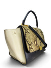 Bolso "Trapeze"