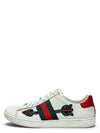 Tenis "Ace Sneakers"