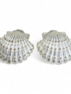 Aretes Plateados