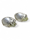 Aretes Plateados