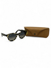 Gafas "Wayferer Chromance"