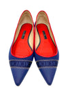 Baletas Azules