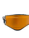 Bolso "The Snapshot"