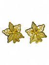 Aretes Dorados