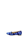 Baletas Azules