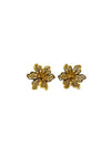 Aretes Dorados