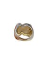 Anillo Blanco