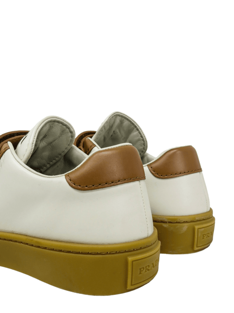 Tenis "Wheel bicolor"