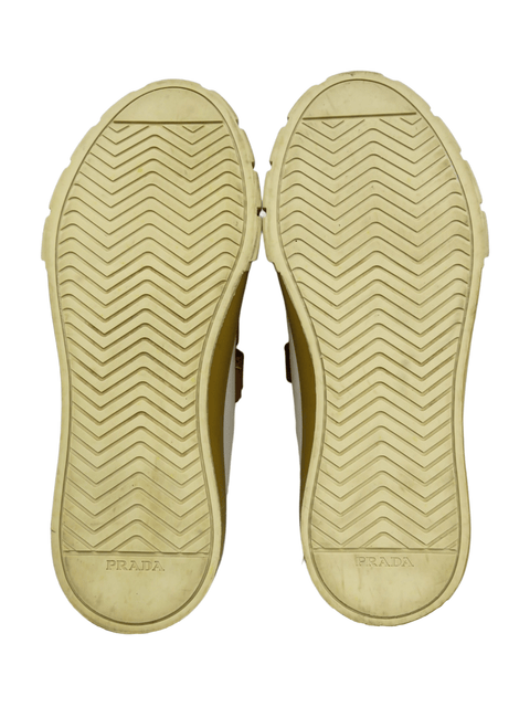 Tenis "Wheel bicolor"