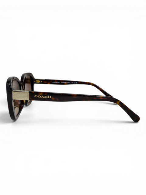 Gafas "Dark Tortoise"