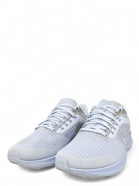 Tenis "Air Zoom Pegasus 39"