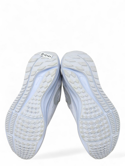 Tenis "Air Zoom Pegasus 39"