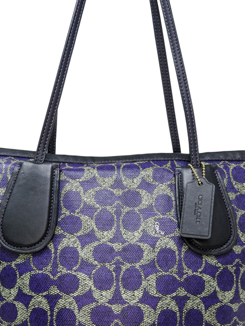 Bolso Morado