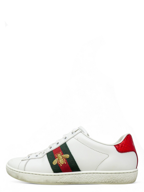 Tenis "Ace Sneakers"
