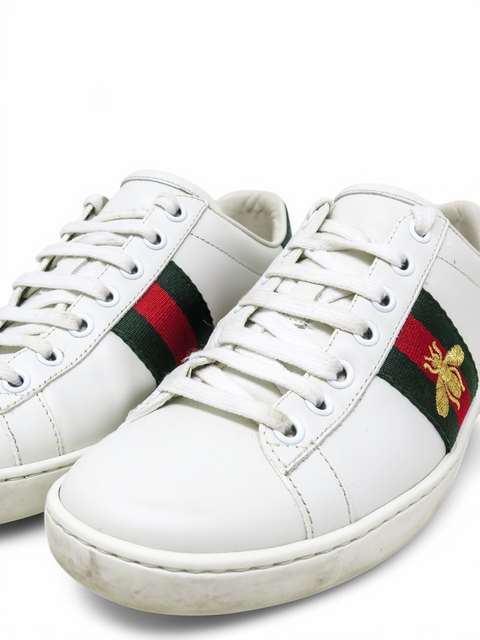 Tenis "Ace Sneakers"
