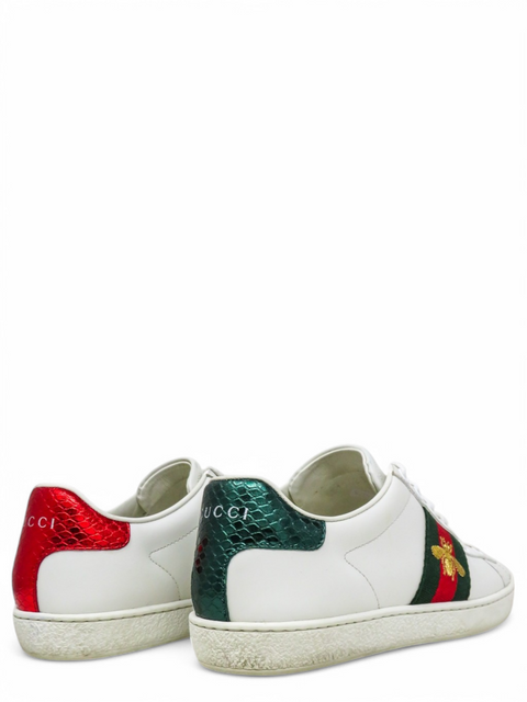 Tenis "Ace Sneakers"