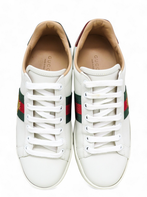 Tenis "Ace Sneakers"