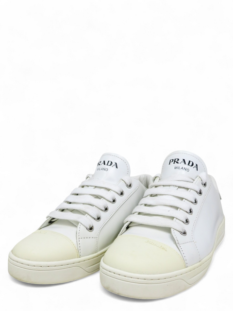 Tenis Blancos