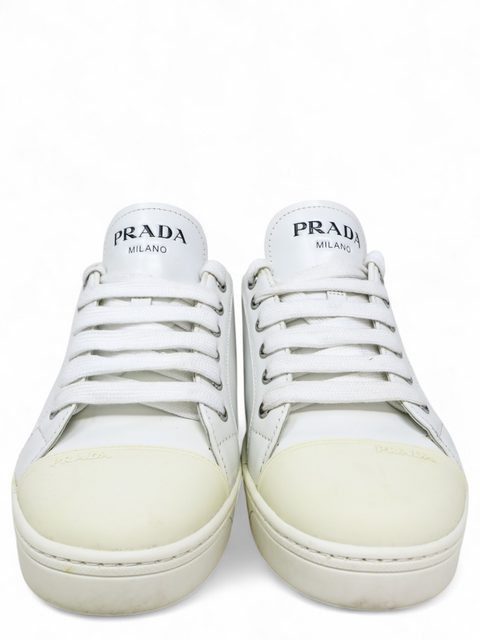 Tenis Blancos