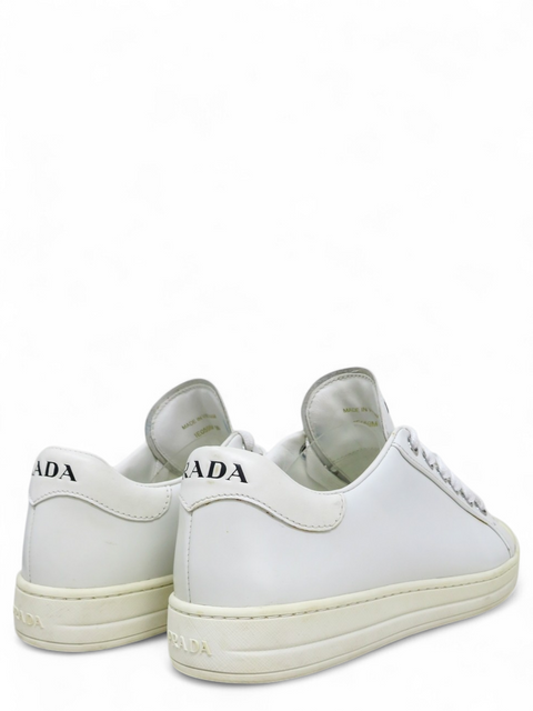 Tenis Blancos