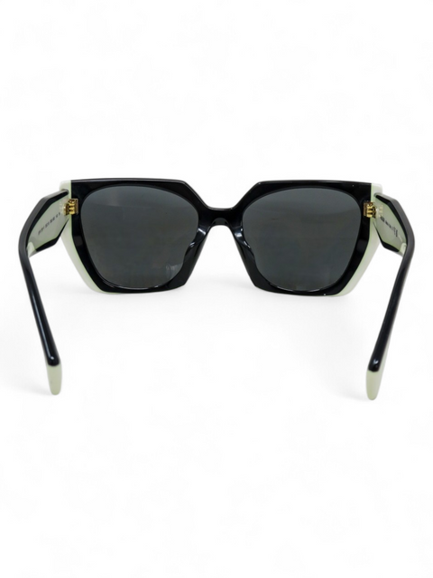 Gafas "SPR 15W-F"