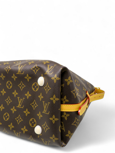 Bolso "Monogram Carryall MM"