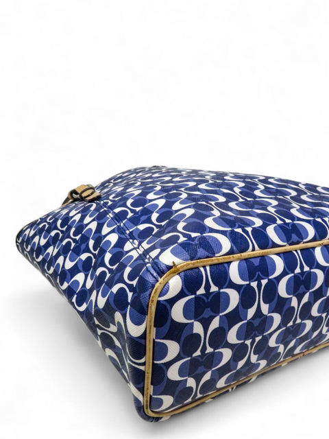 Bolso Azul