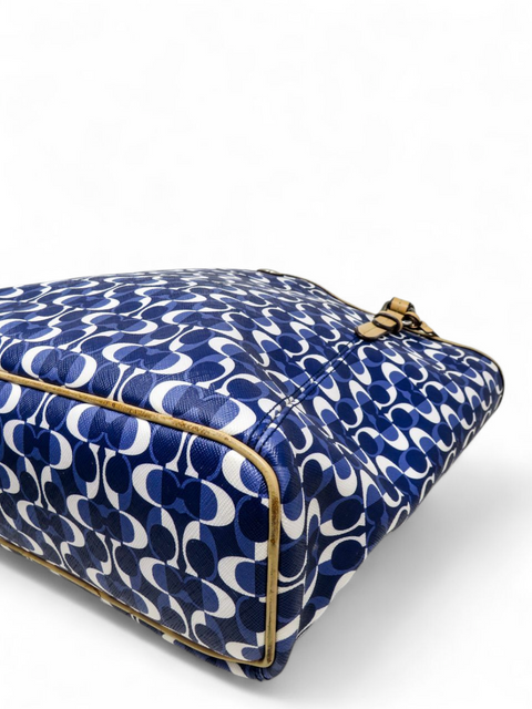 Bolso Azul