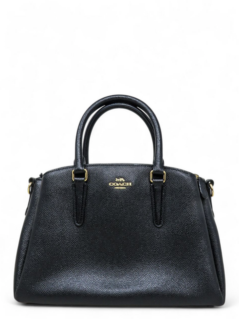 Bolso "Mini Sage Carryall"