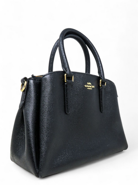 Bolso "Mini Sage Carryall"