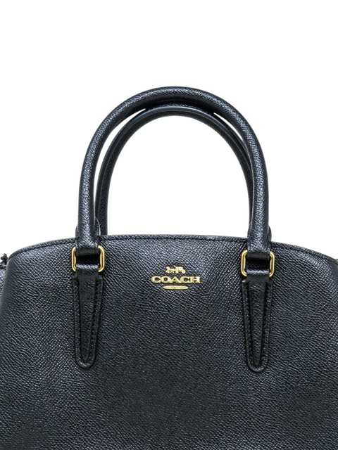Bolso "Mini Sage Carryall"
