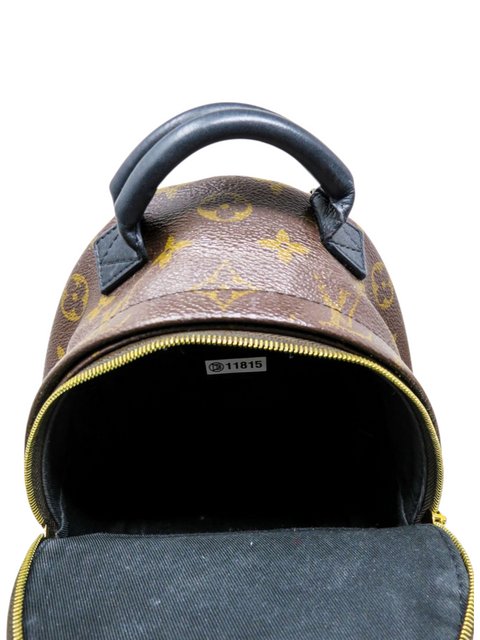 Morral "Monogram Mini Palm Springs"