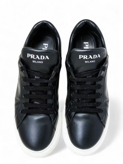 Tenis "Vitello Soft Logo Low Top"