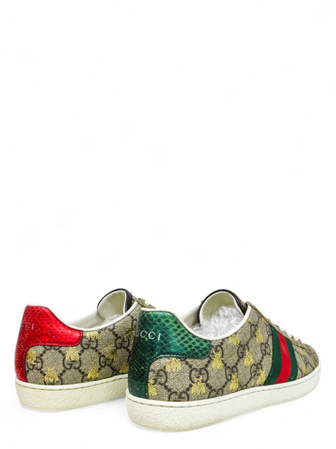 Tenis "Ace Sneakers"
