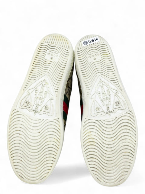 Tenis "Ace Sneakers"