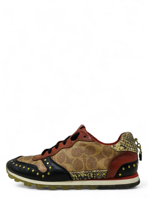 Tenis "C118"