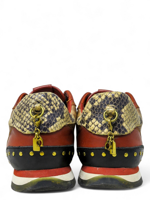 Tenis "C118"