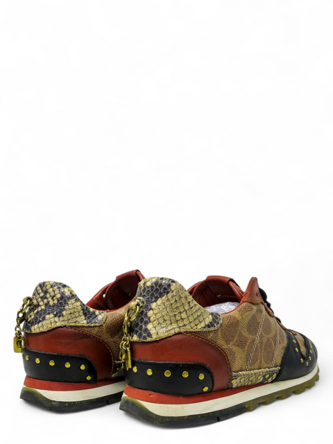 Tenis "C118"